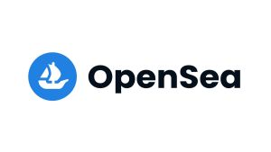 Logo for Opensea, one of the first major NFT Marketplaces